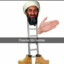 osama bin ladder