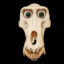 Waiting4Godot