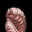 big grub