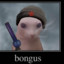 Bongus