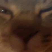 withextradip avatar