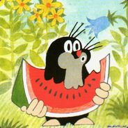 Krtek  Madziula 1.8 90hp <3