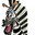 POLOSATAYA ZEBRA