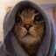 SKINS 猫 (kitty)