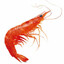 Shrimpshin™