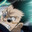Leorio