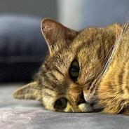 I’ll multiply you by 0