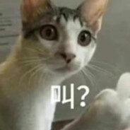 你犀牛爸爸，叫？