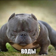 CCAHblu MATPAC