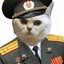ник не придумал