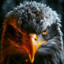 Hawk