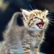 Im 34 years old and im......