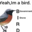 brid