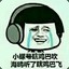 海鸥听了瞎几把飞