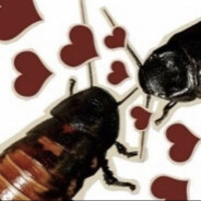 flyinginsect