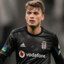 Adem Ljajic