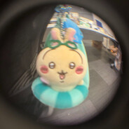 冷酷橘子猪杀手