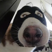 表哥我出来了喔