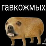 гавкожмых