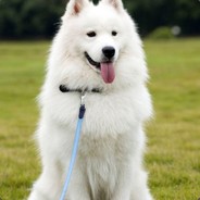 胡元峰的中国梦