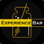 Experience Bar