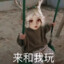 瑶瑶混日子