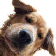 她说风止意难平