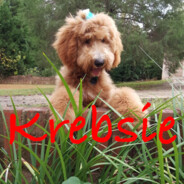 ❤krebsie ツ