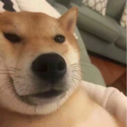 深情男孩爱受骗