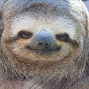 MarineSloth