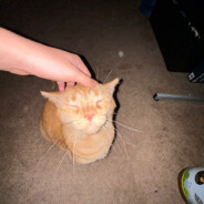 RomanTrooper2261 - steam id 76561198326226040