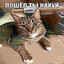 Salnwxx02