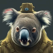 Commander_Koala