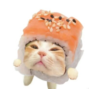 有毒有害食品销售犯