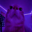 Chm0nя