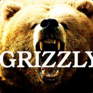Grizzly