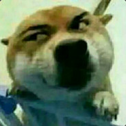 伸出你的小爪子