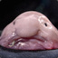 pancakey