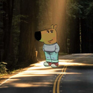 степик - steam id 76561199638741119