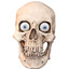 evil fucking skeleton