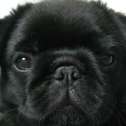 Темный мiпс