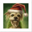 *Grinchens_dog_MAX*