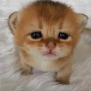 анальний злодій