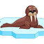 slouchingwalrus61