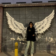 翻斗花园  磊图图