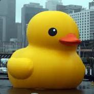 DuckGod