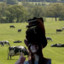 femalecowboy