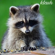 ✓KLASH™
