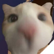 l每天吃五个草履虫