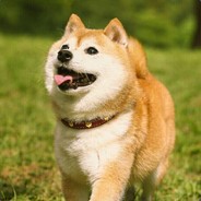 凉城空余心hhhhh